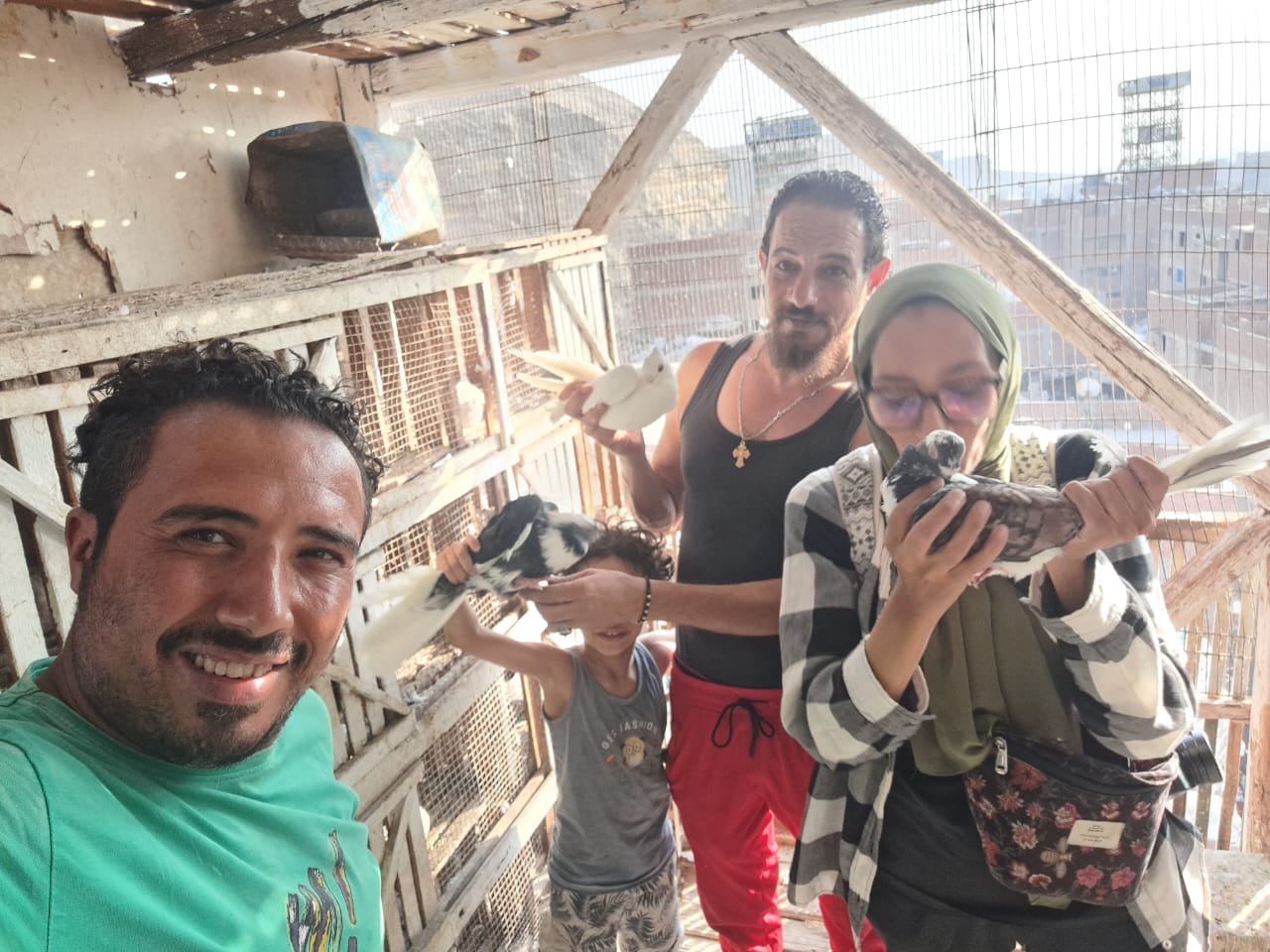 صورة الجولة